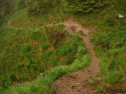 2013-06-22_Hirschhoerndl_Jochberg (179).JPG